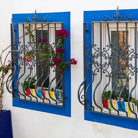 Boutique El Olivar 모야카