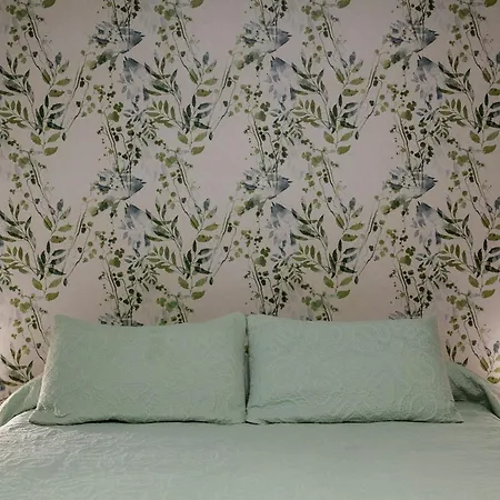 Boutique El Olivar 호텔 2*